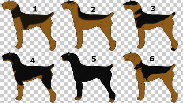 Dog Breed Airedale Terrier German Shepherd Puppy Rough Collie PNG, Clipart, Airedale Terrier, Art, Borzoi, Breed, Carnivoran Free PNG Download