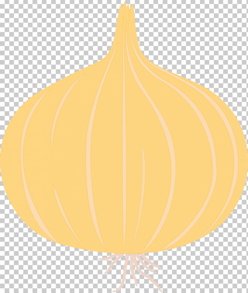 Onion PNG, Clipart, Biology, Commodity, Fruit, Geometry, Leaf Free PNG Download