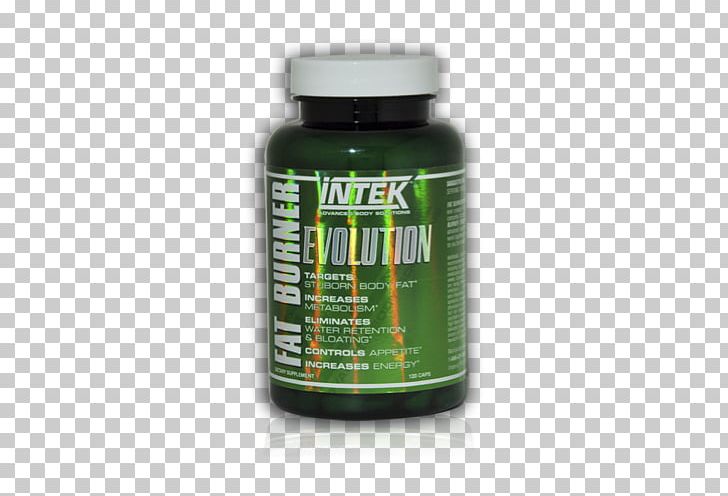 Dietary Supplement Fatburner Branched-chain Amino Acid Metabolism Evolution PNG, Clipart, Adipose Tissue, Appetite, Basal Metabolic Rate, Bodybuilding Supplement, Branchedchain Amino Acid Free PNG Download