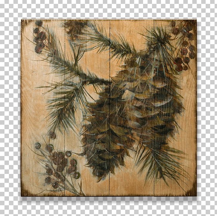 Fir Pine Conifer Cone Spruce PNG, Clipart, Art, Bedroom, Branch, Cone, Conifer Free PNG Download