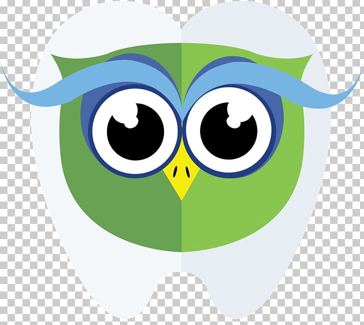 Owl Green Beak PNG, Clipart, Anesthesia, Animals, Beak, Bird, Bird Of Prey Free PNG Download