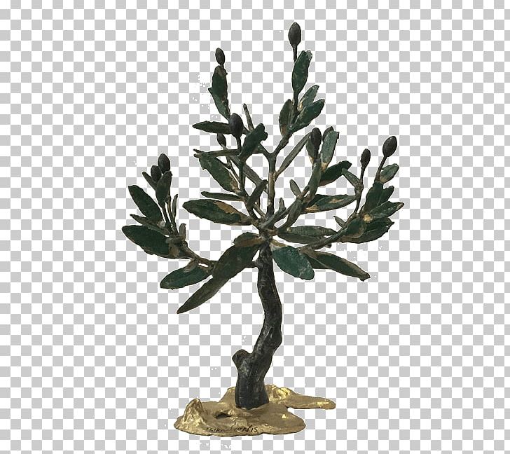 Flowerpot Branching Plant Stem Olive PNG, Clipart, Branch, Branching, Flowerpot, Miscellaneous, Olive Free PNG Download