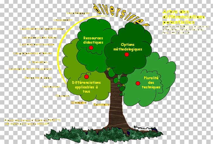 Tree Pedagogy Education Teacher Homework PNG, Clipart, Area, Berufsausbildung, Competence, Diagram, Didactic Method Free PNG Download