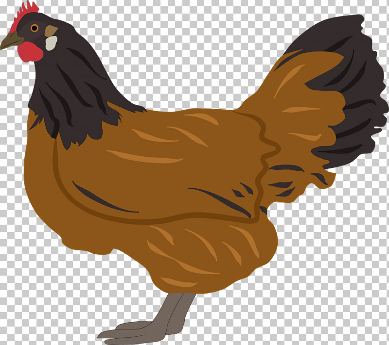 Fowl Chicken Rooster Poultry Cartoon PNG, Clipart, Beak, Cartoon, Chicken, Fowl, Livestock Free PNG Download