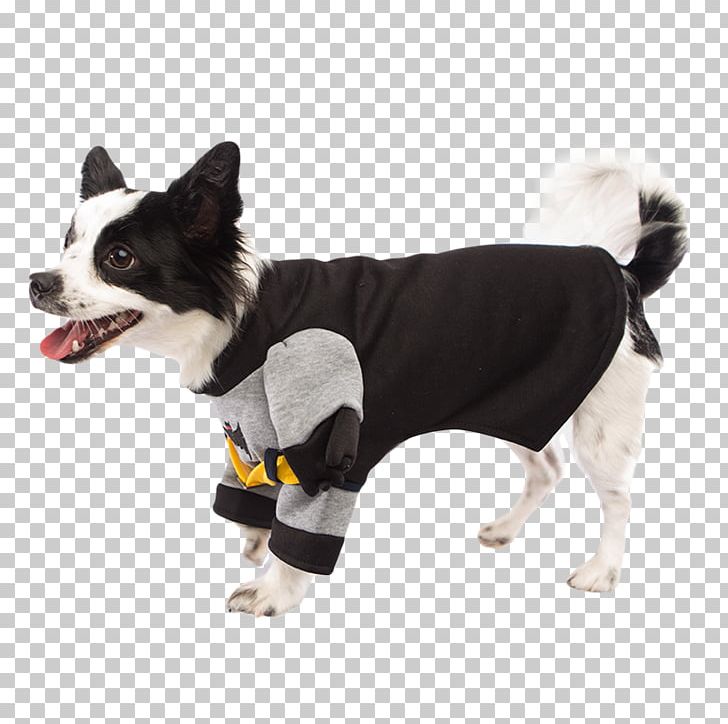 Dog Breed Costume Batman Ace The Bat-Hound PNG, Clipart, Animals, Batman, Border Collie, Clothing, Clothing Accessories Free PNG Download