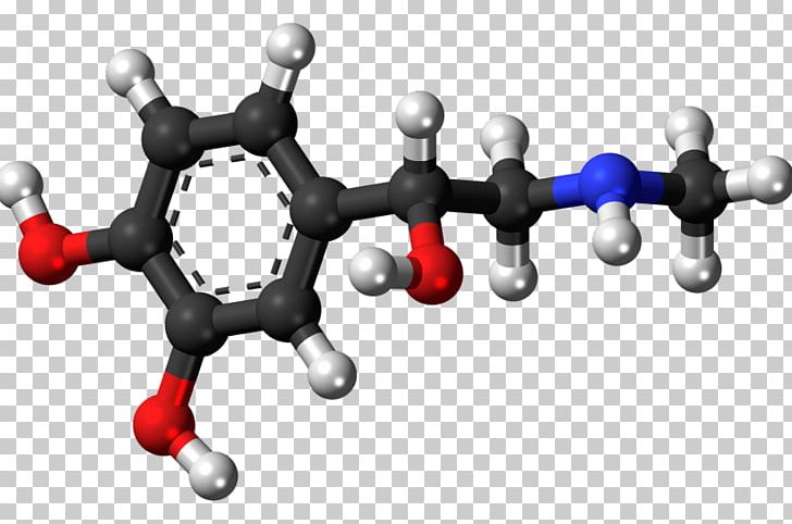 Adrenaline Cortisol Norepinephrine Hormone PNG, Clipart, Adrenaline, Alpha1 Adrenergic Receptor, Body Jewelry, Chemistry, Cortisol Free PNG Download