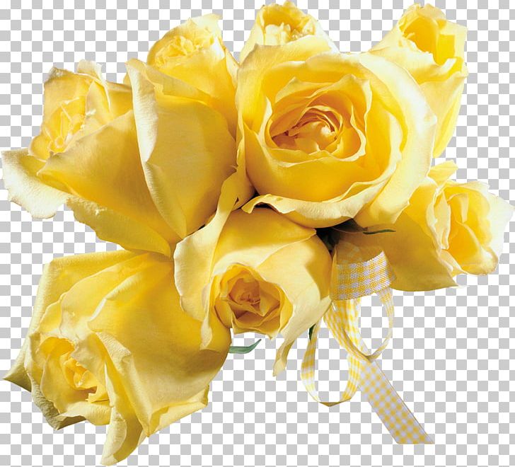 Animation Yellow Photography Blingee PNG, Clipart, Animation, Blingee, Cartoon, Cut Flowers, Desktop Wallpaper Free PNG Download