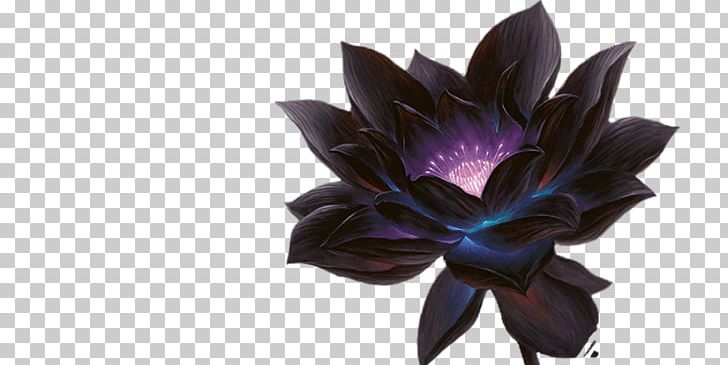 Magic: The Gathering Online Power Nine Black Lotus Magic Points PNG, Clipart, Art, Artist, Black Lotus, Chris Rahn, Cut Flowers Free PNG Download