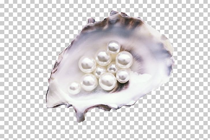 Pearl Oyster Gemstone Mussel Jewellery PNG, Clipart, Animals, Clams Oysters Mussels And Scallops, Cultured Freshwater Pearls, Cultured Pearl, Decoration Free PNG Download