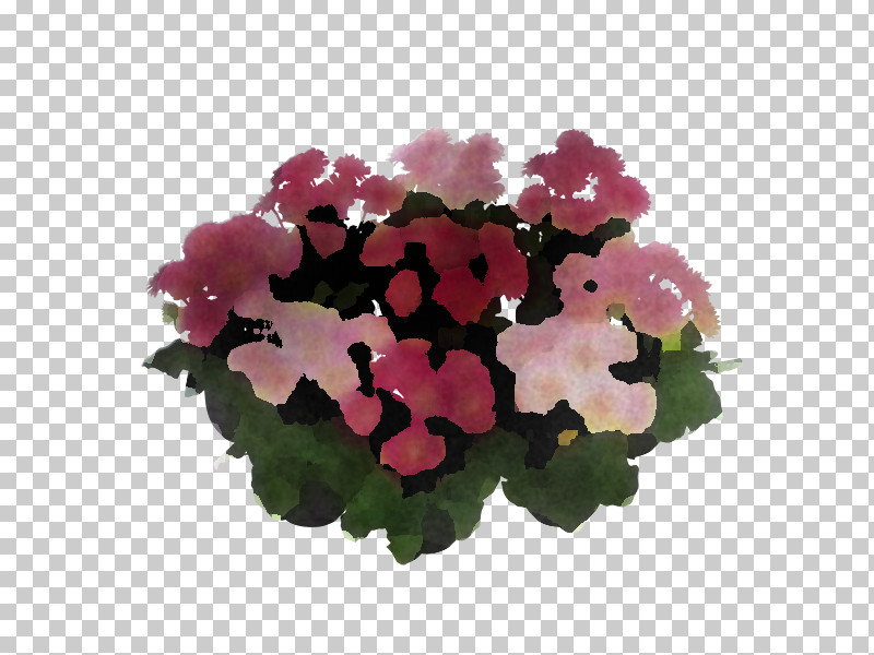 Flower Pink Plant Petunia Petal PNG, Clipart, Annual Plant, Flower, Geranium, Houseplant, Hydrangea Free PNG Download