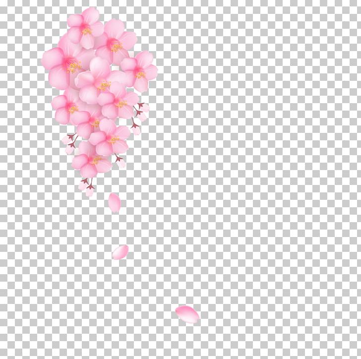Cherry Blossom Petal Pink PNG, Clipart, Cherry, Cherry Blossom, Cherry Blossoms, Cherry Tree, Cherry Vector Free PNG Download
