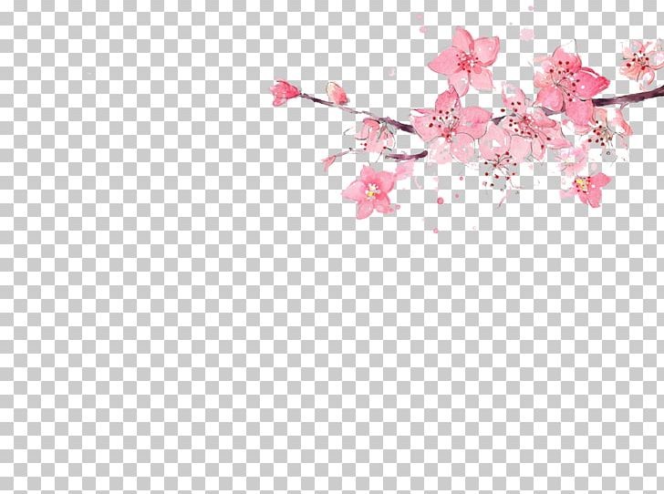Flower Pink Watercolor Painting Illustration PNG, Clipart, Blossom, Cherry Blossom, Circle, Download, Encapsulated Postscript Free PNG Download