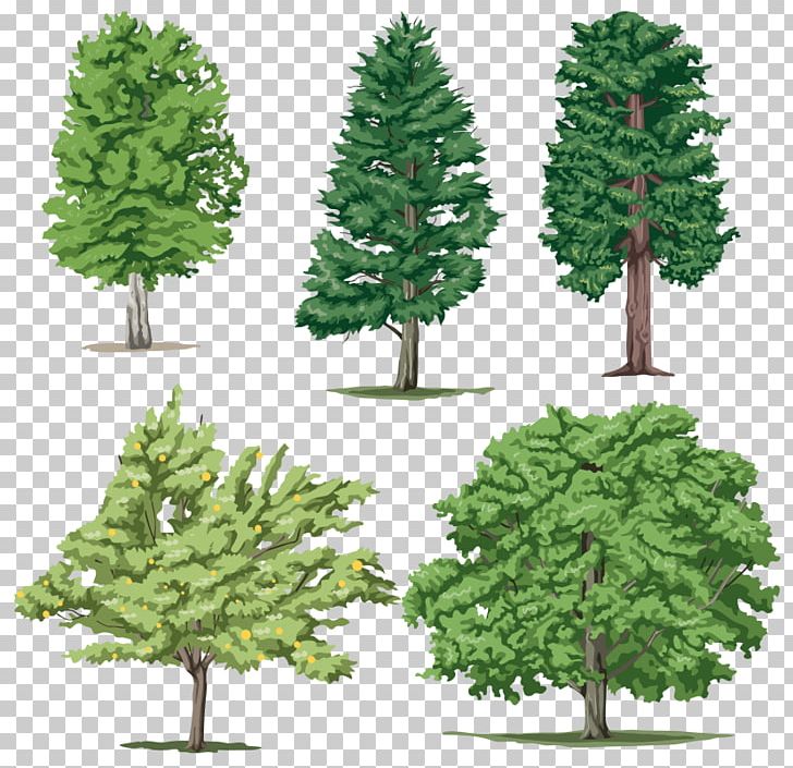 Tree Adobe Photoshop Portable Network Graphics PNG, Clipart, Biome, Branch, Christmas Decoration, Christmas Ornament, Christmas Tree Free PNG Download