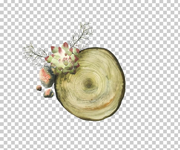 Tree Stump Paper PNG, Clipart, Christmas Tree, Circle, Coconut Tree, Designer, Download Free PNG Download