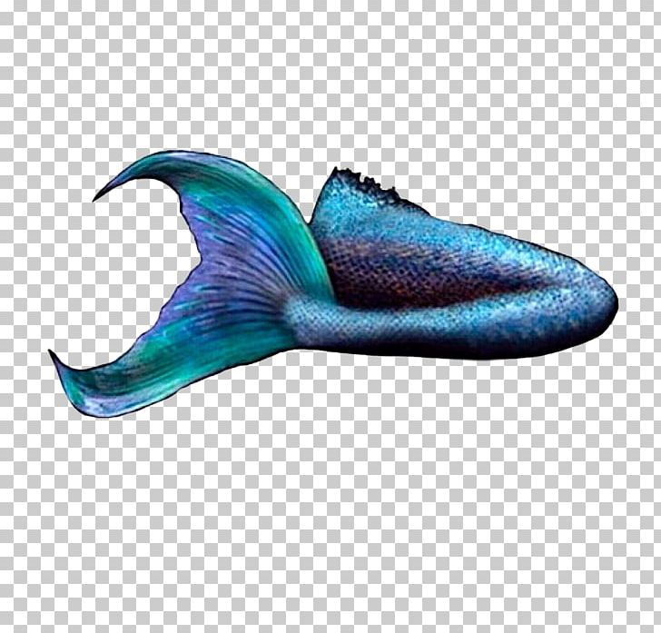 Mermaid Tail Merman PNG, Clipart, Aqua, Dolphin, Editing, Electric Blue, Fin Free PNG Download