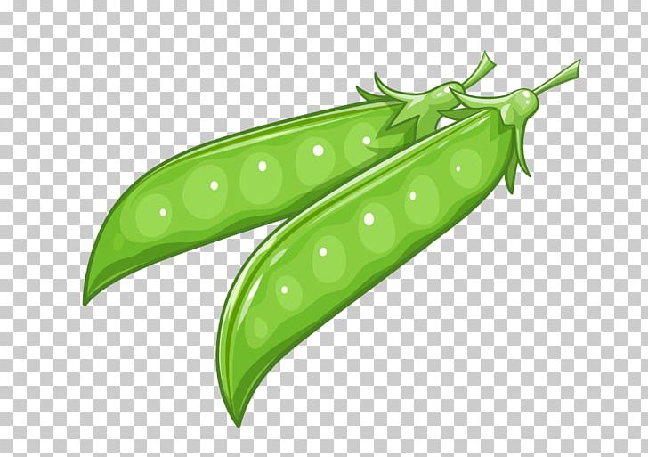 Pea Food Illustration PNG, Clipart, Butterfly Pea, Butterfly Pea Flower, Cartoon Peas, Creative Market, Encapsulated Postscript Free PNG Download
