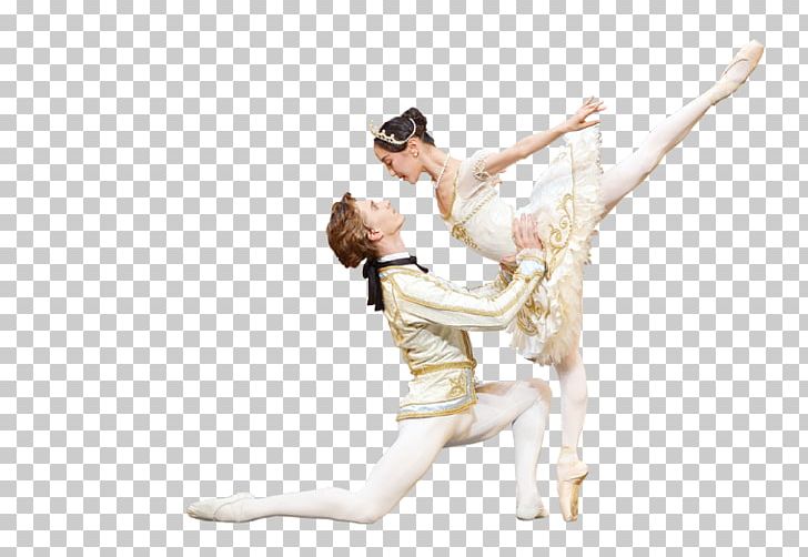 Performing Arts Ballet Dancer Ballet Dancer Modern Dance PNG, Clipart, Arm, Art, Arts, Ballet, Ballet Dancer Free PNG Download