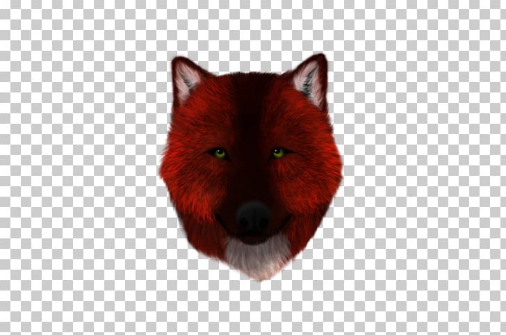 Red Fox Dog Canidae Snout PNG, Clipart, Animal, Animals, Canidae, Carnivora, Carnivoran Free PNG Download