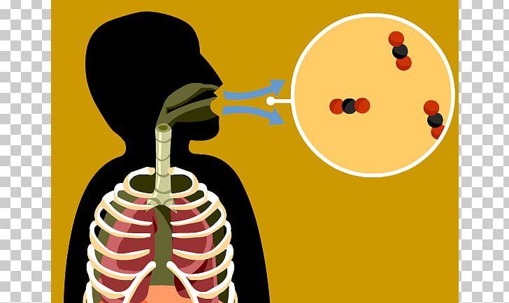 Cellular Respiration Combustion PNG, Clipart, Aerobic Organism, Anaerobic Respiration, Art, Biology, Breathing Free PNG Download