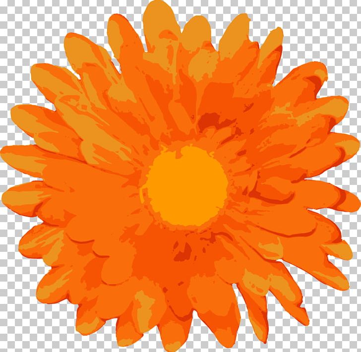 Flower Euclidean Computer Icons PNG, Clipart, Calendula, Chrysanths, Computer Icons, Daisy Family, Download Free PNG Download