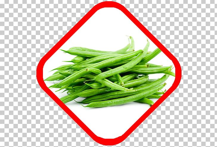 Green Bean French Cuisine Vegetable Common Bean PNG, Clipart, Bean, Blackeyed Pea, Chili Pepper, Common Bean, Food Free PNG Download