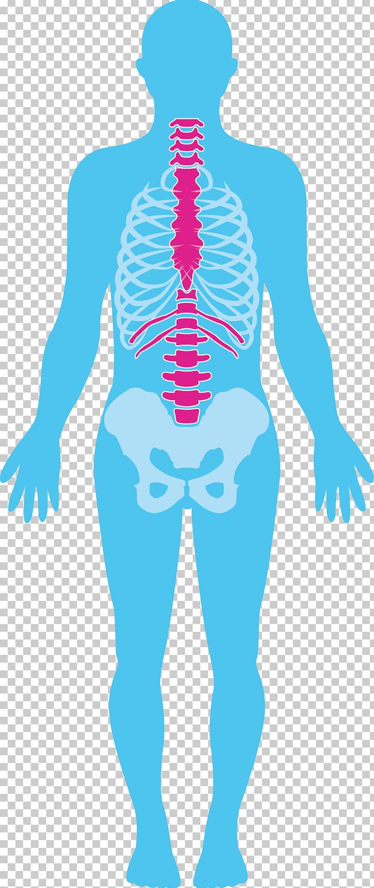 Hip Paraplegia Symptom Tetraplegia Human Body PNG, Clipart, Abdomen, Arm, Clothing, Electric Blue, Fictional Character Free PNG Download