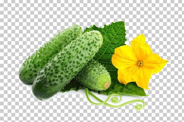 Pickled Cucumber Cultivar Salad Vegetable PNG, Clipart, Berry, Cooking, Cornichon, Crop Yield, Cucumber Free PNG Download