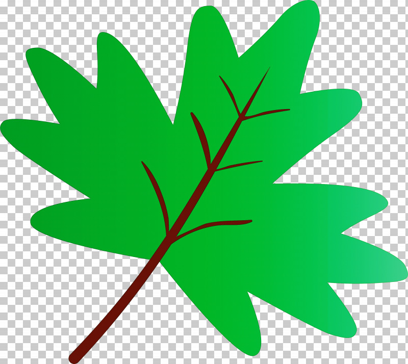 Maple Leaf PNG, Clipart, Black Maple, Green, Leaf, Maple Leaf, Plant Free PNG Download