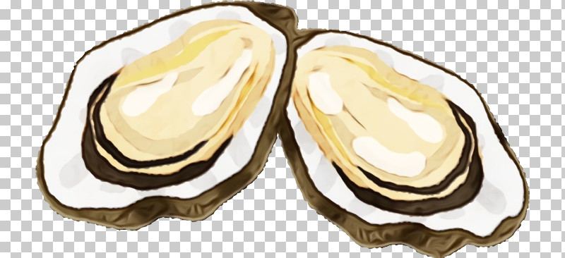 Oyster Food Legume Bivalve PNG, Clipart, Bivalve, Food, Legume, Oyster, Paint Free PNG Download