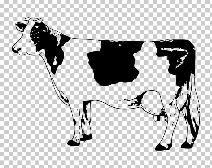 Angus Cattle Calf PNG, Clipart, Animals, Arrow Sketch, Black, Black And White, Border Sketch Free PNG Download