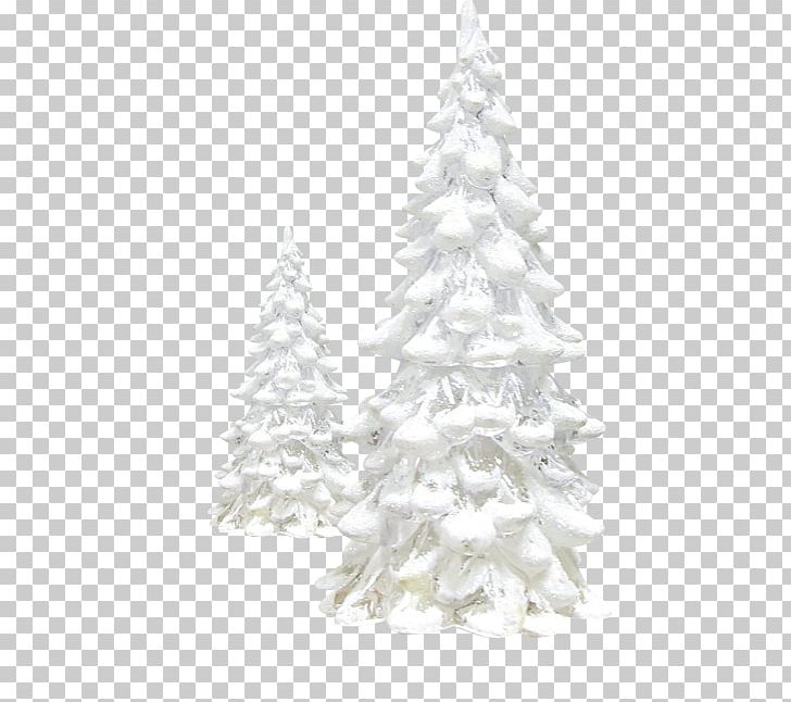 Pine Christmas Tree Winter PNG, Clipart, Branch, Cedar, Christmas, Christmas Decoration, Christmas Ornament Free PNG Download