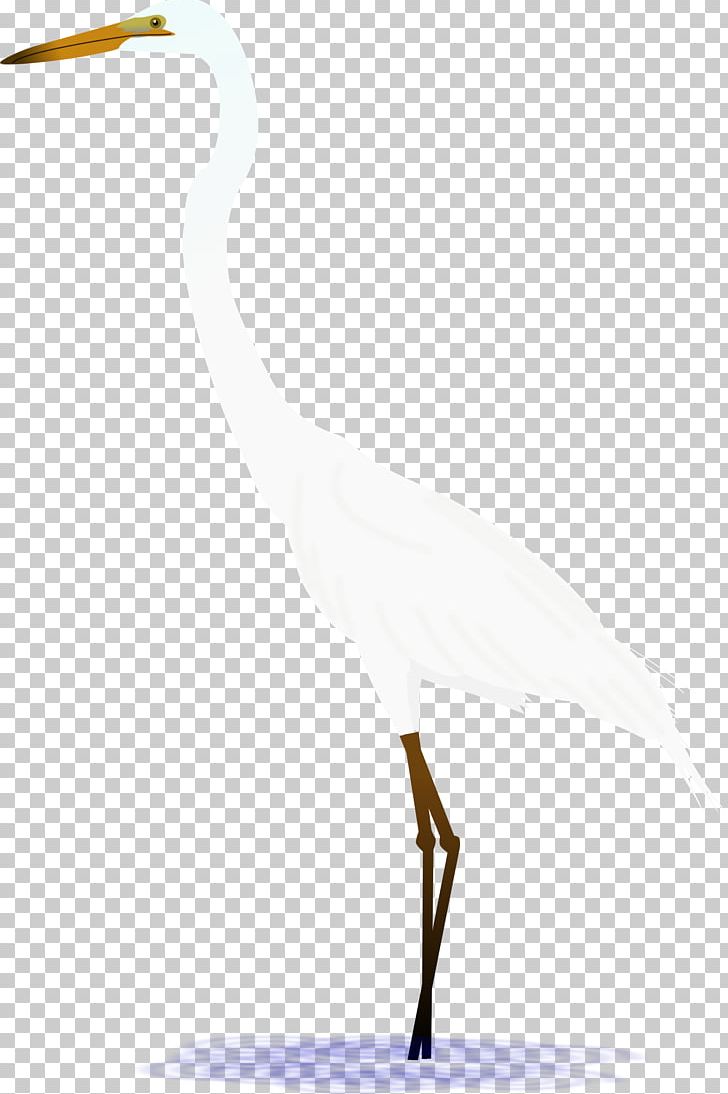 Water Bird Heron Stork Crane PNG, Clipart, Animals, Beak, Bird, Ciconiiformes, Crane Free PNG Download