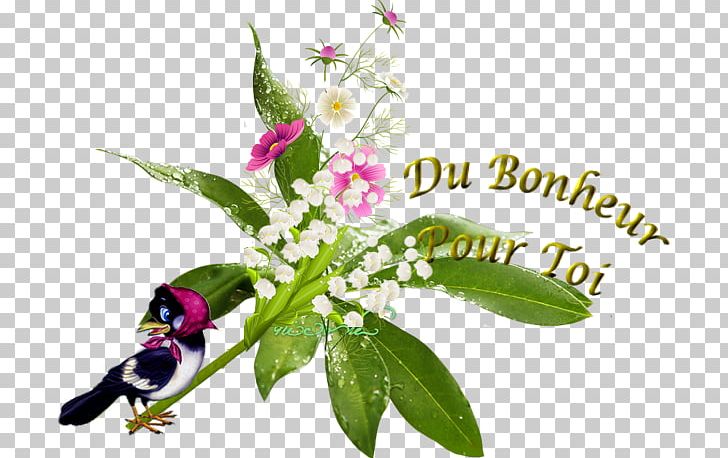 Zazu Cut Flowers Floral Design PNG, Clipart, Cut Flowers, Floral Design, Flower, Flowering Plant, Herb Free PNG Download
