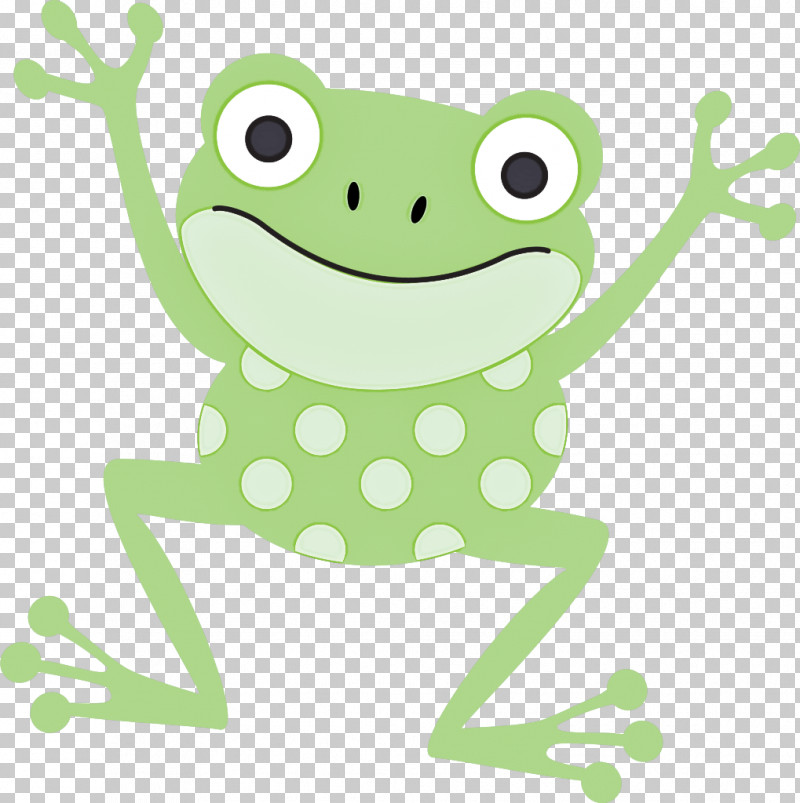 Tree Frog True Frog Frogs Amphibians Edible Frog PNG, Clipart, African Dwarf Frog, American Bullfrog, American Green Tree Frog, Amphibians, Australian Green Tree Frog Free PNG Download