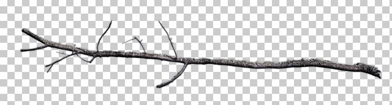 Branch Twig Line Plant PNG, Clipart, Branch, Line, Plant, Twig Free PNG Download