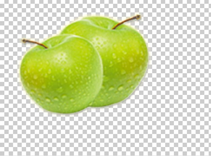 Granny Smith Apple PNG, Clipart, Agriculture, Apple, Apple Fruit, Apple Logo, Background Green Free PNG Download
