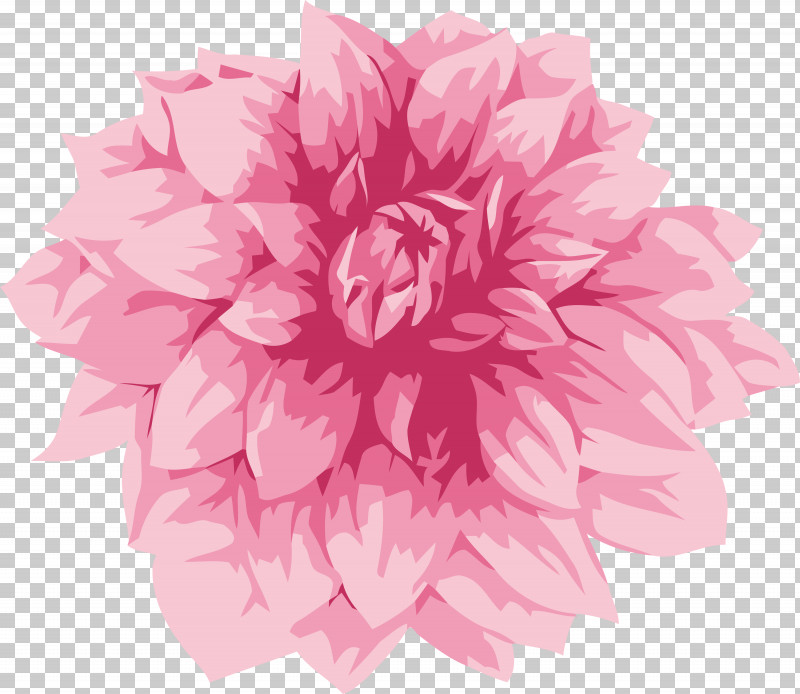 Floral Design PNG, Clipart, Biology, Childrens Film, Cut Flowers, Dahlia, Family Free PNG Download