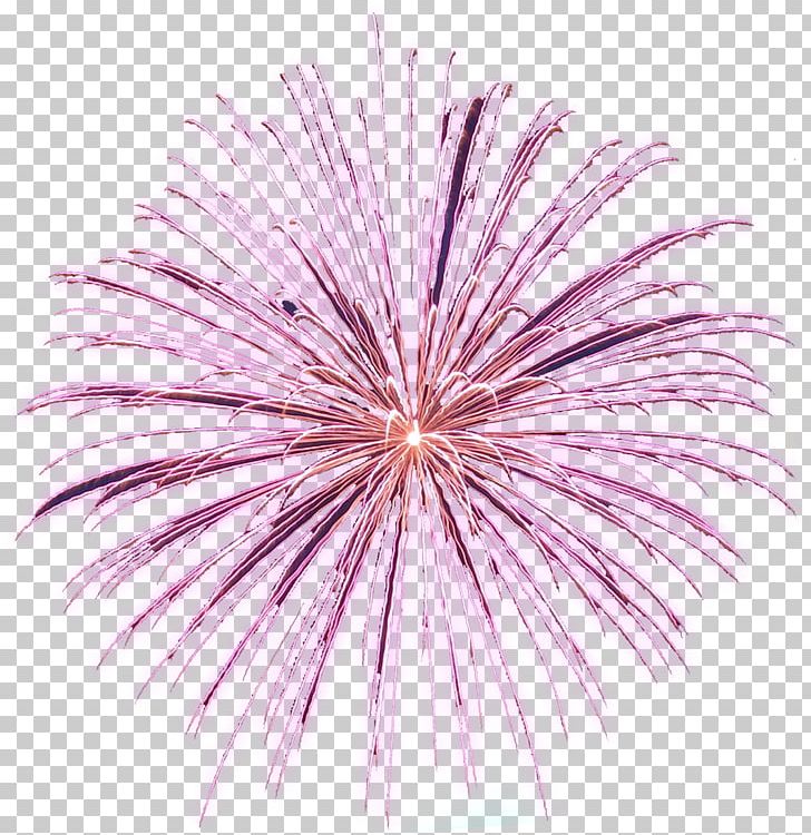 Adobe Fireworks PNG, Clipart, Adobe Fireworks, Animation, Computer Animation, Diwali, Fireworks Free PNG Download