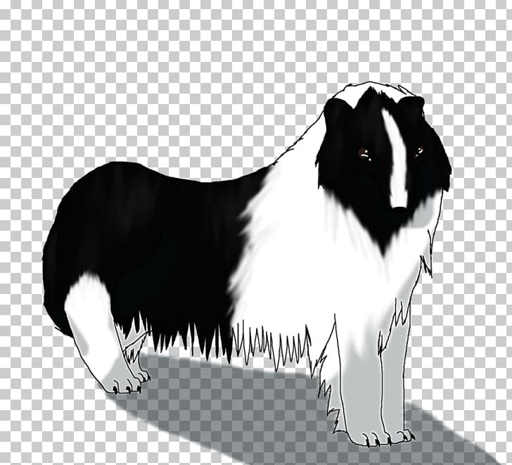 Dog Breed Border Collie Rough Collie Snout PNG, Clipart, Black, Black And White, Border Collie, Breed, Carnivoran Free PNG Download