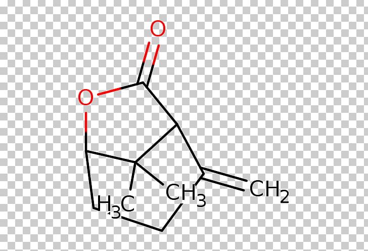 Ether Amine Carboxylic Acid Ester Aryl PNG, Clipart, Acid, Aldehyde, Aliphatic Compound, Alkene, Alkyl Free PNG Download