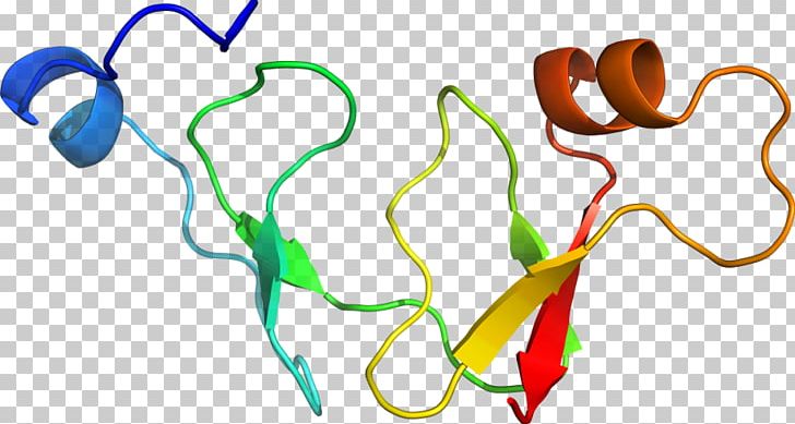 Organism Body Jewellery Line PNG, Clipart, Area, Art, Artwork, Body Jewellery, Body Jewelry Free PNG Download