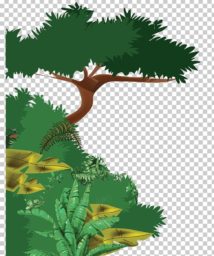 amazon forest trees drawing