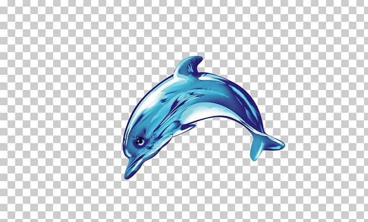 Common Bottlenose Dolphin Icon PNG, Clipart, Animals, Blue, Bottlenose Dolphin, Cobalt Blue, Computer Wallpaper Free PNG Download