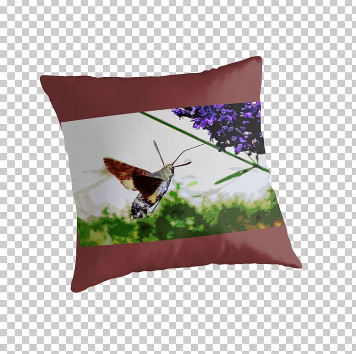 Cushion Throw Pillows PNG, Clipart, Butterfly, Cushion, Furniture, Insect, Moths And Butterflies Free PNG Download