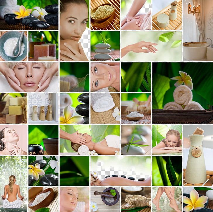 Brazilian Silhouette Day Spa Stock Photography Beauty Parlour PNG, Clipart, Body, Body Beauty, Grass, Health, Leaves Free PNG Download