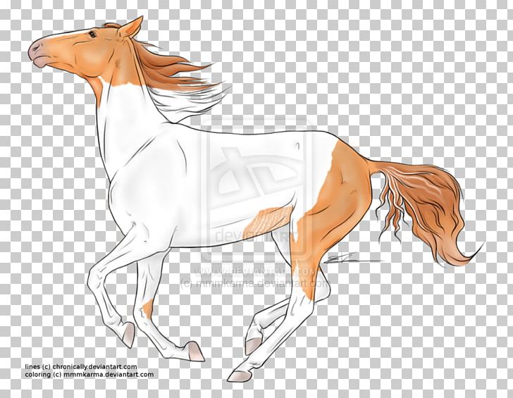 Foal Stallion Pony Colt Mustang PNG, Clipart, Art, Artwork, Bridle, Colt, Deviantart Free PNG Download