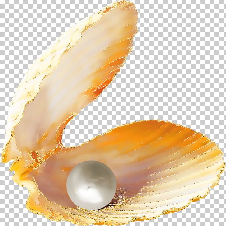 scallops pearls
