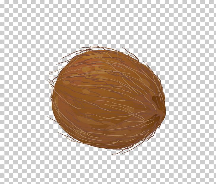Praline Coconut PNG, Clipart, Buckle, Buckle Vector, Caramel Color, Chocolate, Coconut Free PNG Download