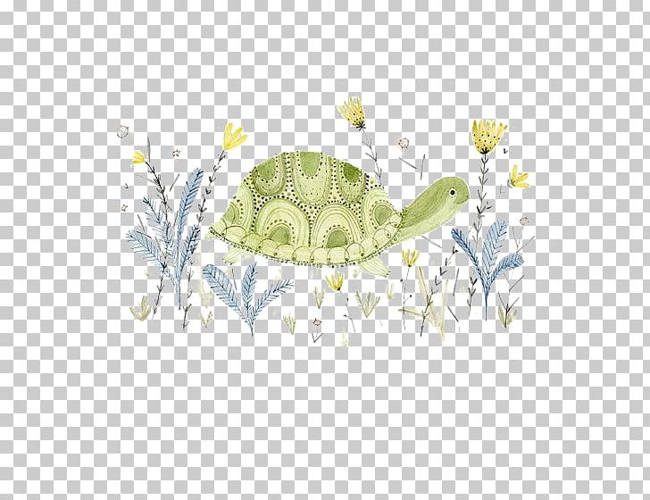 The Little Green Turtle Illustration PNG, Clipart, Animals, Background Green, Border, Cartoon, Download Free PNG Download