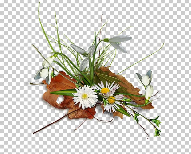 Floral Design Leaf Cut Flowers PNG, Clipart, Autumn Leaf Color, Blog, Butterfly, Cheval, Cut Flowers Free PNG Download